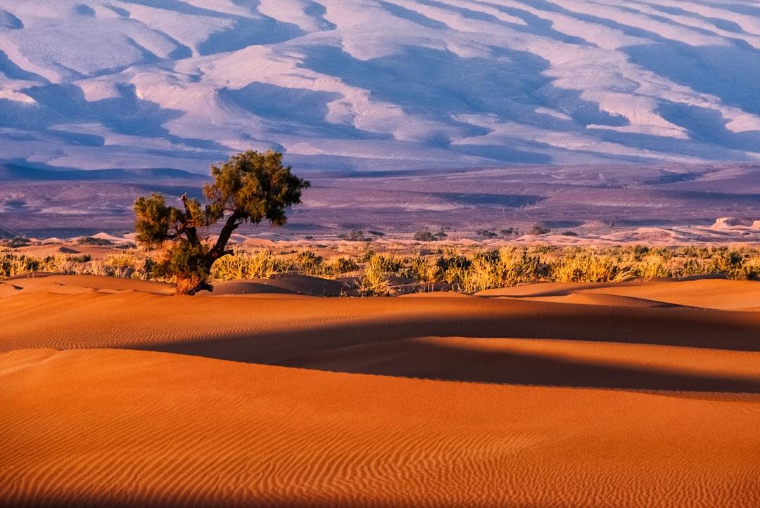 Morocco, Sahara.