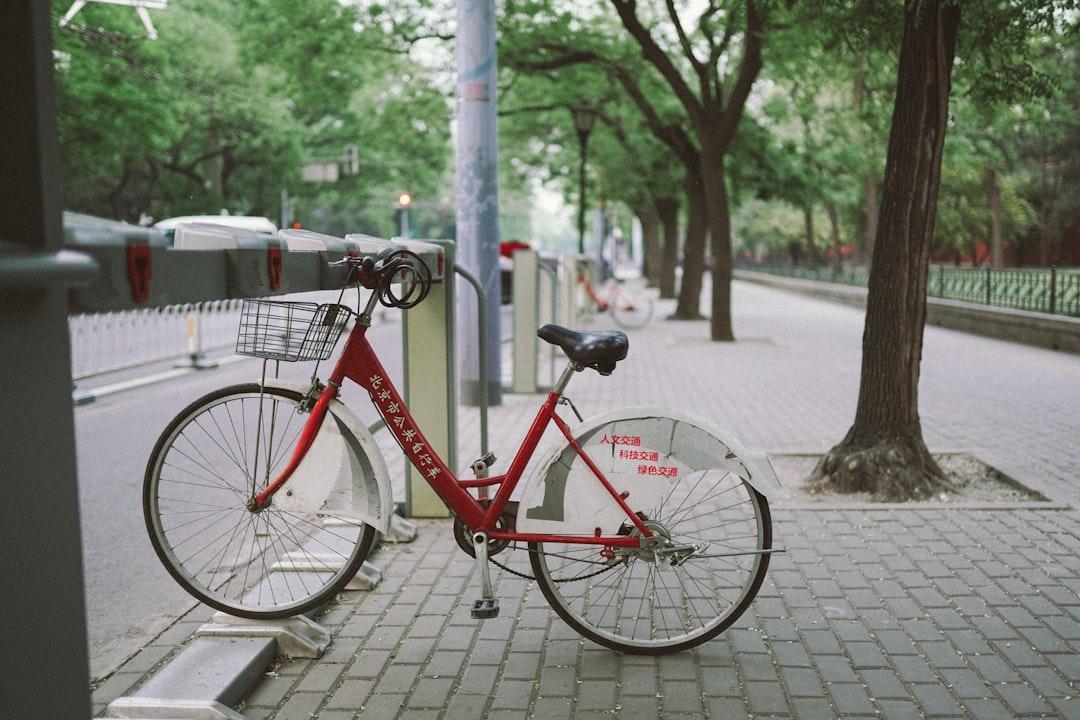 white and red bike parked beside tree