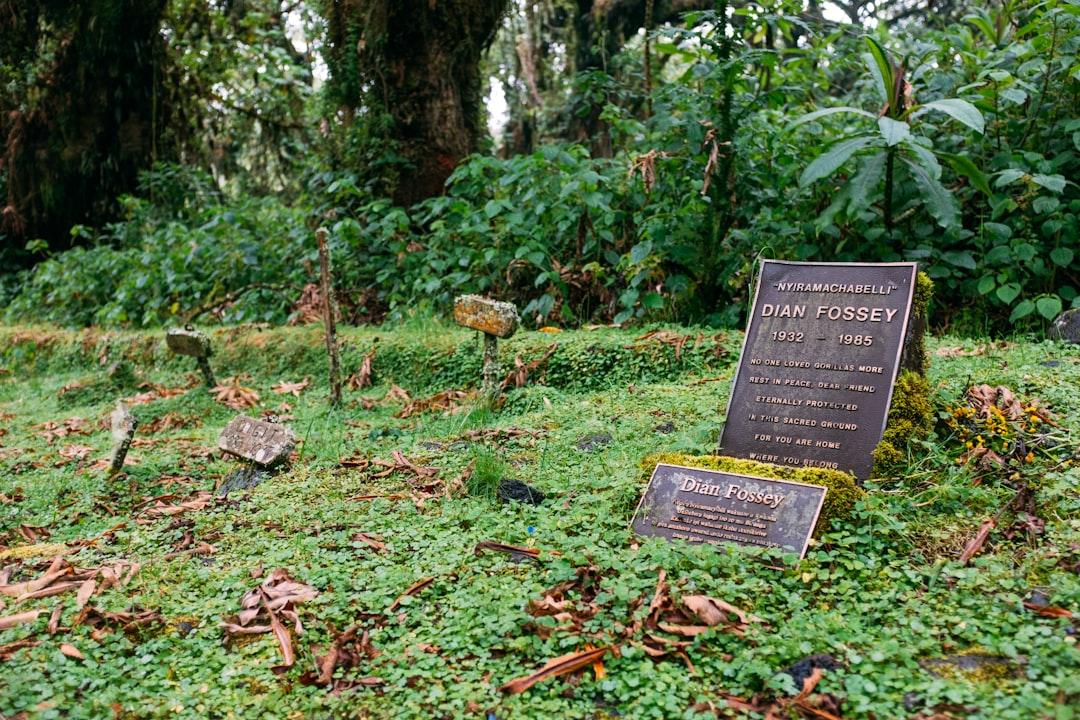 Gravesite of Dian Fossey, Researcher