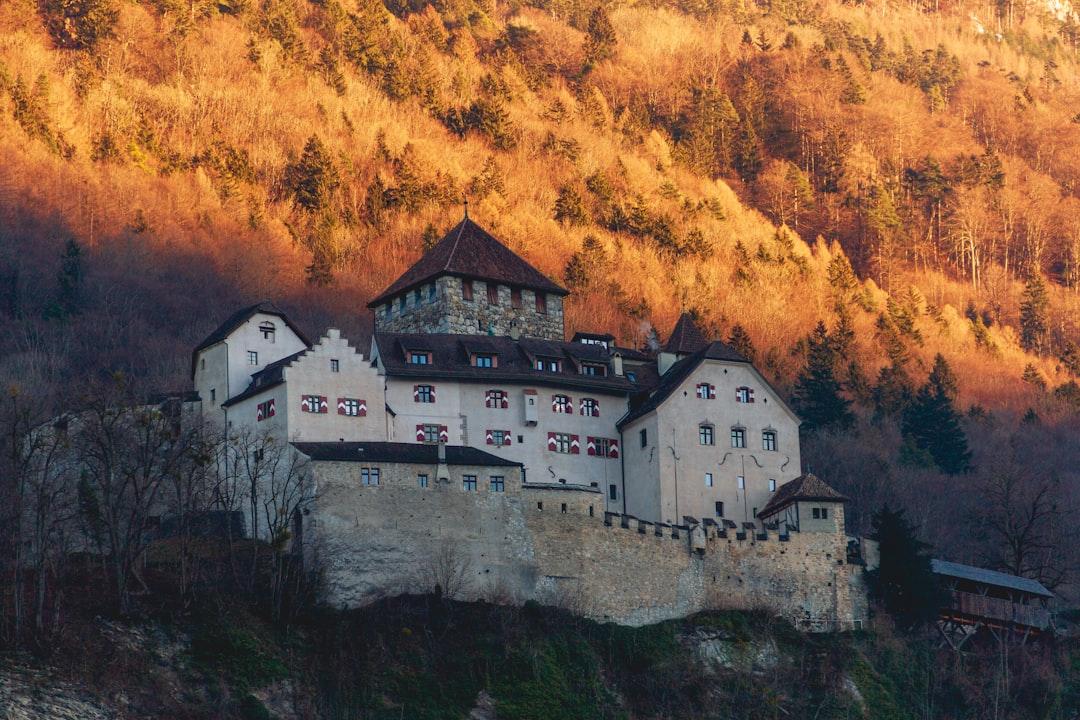 Detail of Castle Vaduz in clear winter sunset