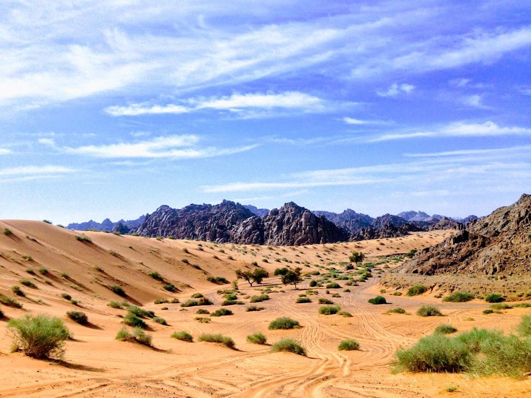 In my country [Ha’il], we have very much sandy desert (25.000 ㎢), and very many granite mountains (8.500 ㎢), but they only meet each other in this small area (1.0 ㎢).
So it is a distinct area!