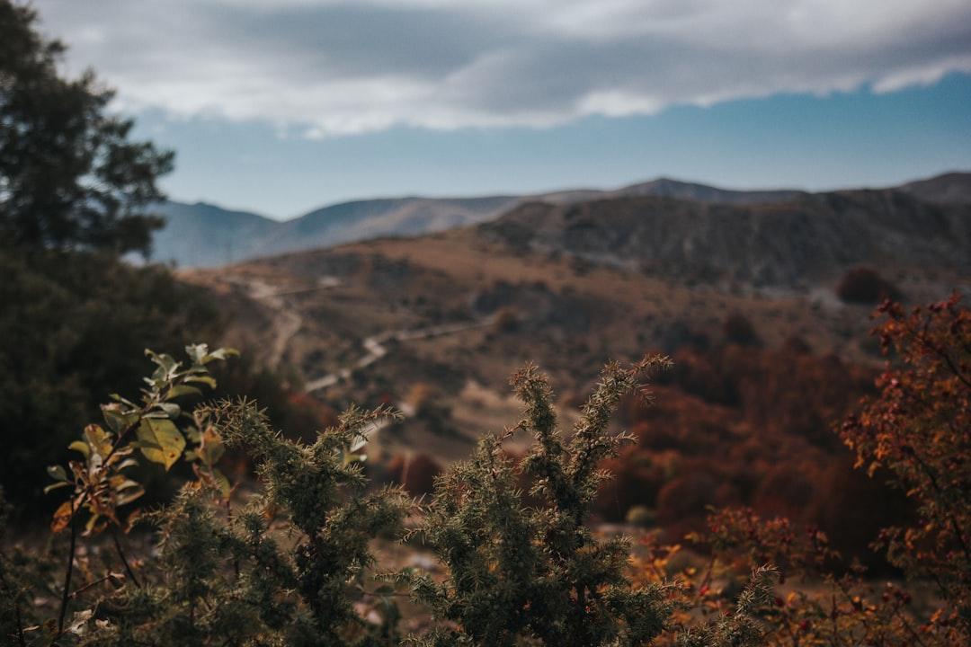 Blurred nature landscape in late autumn