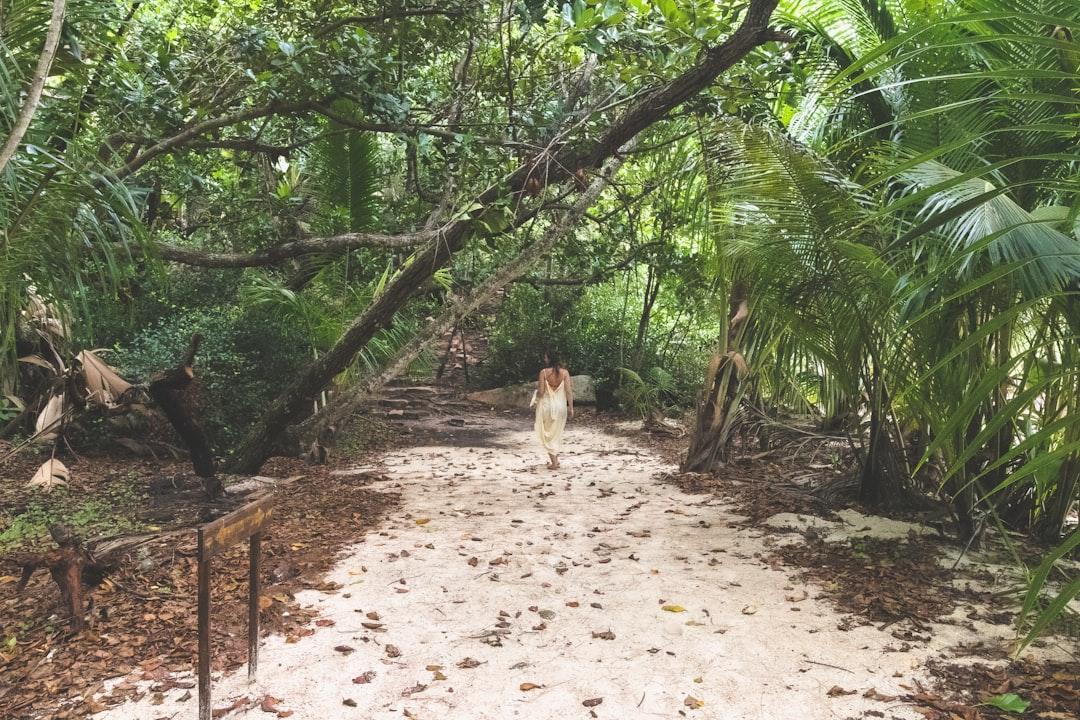 Walking in the Tropical Paradise