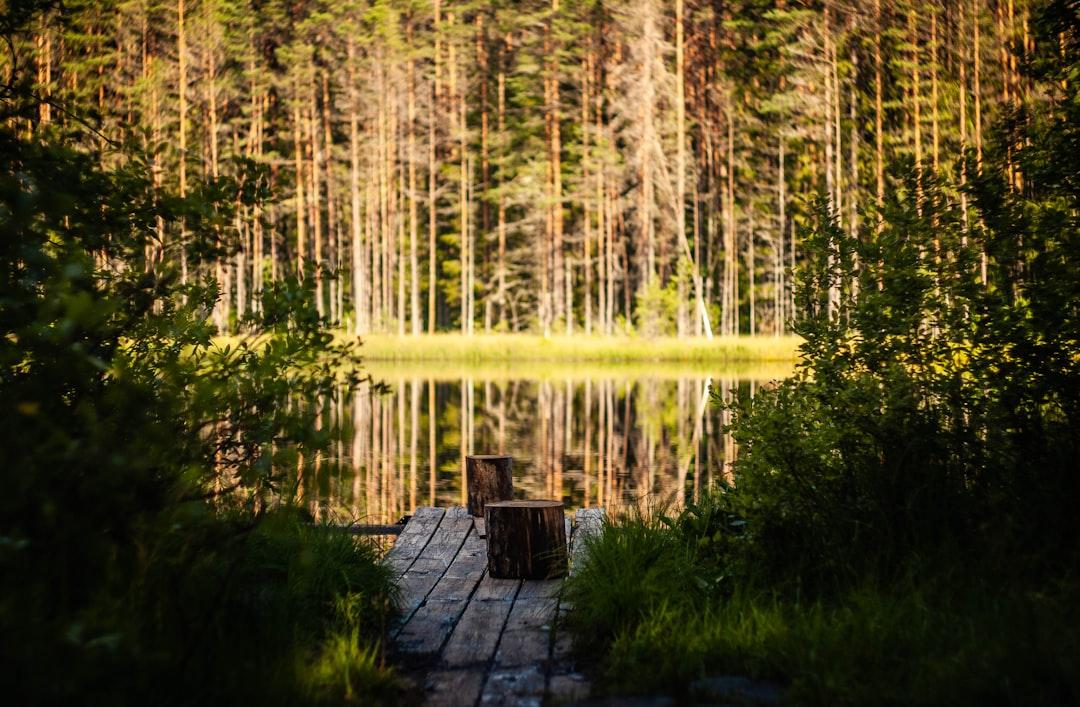 Laho lake. South of Estonia. Beautiful and peaceful place.