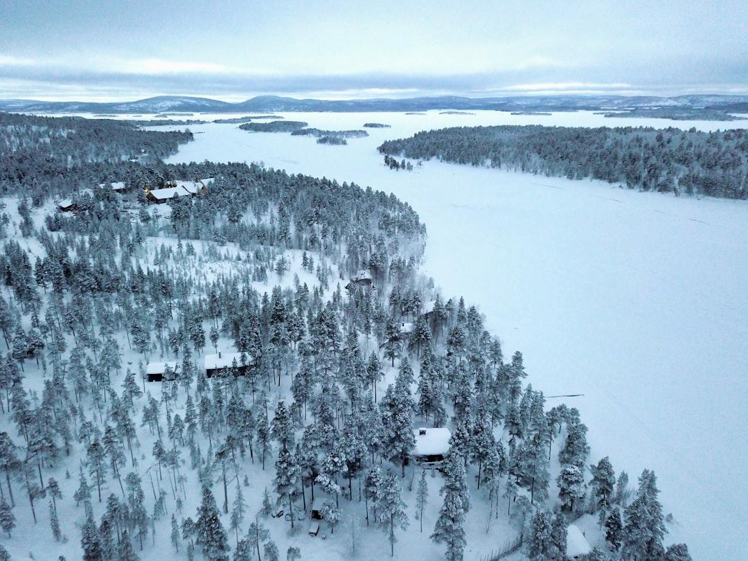 A panoramic view of coniferous forest in Lapland. 