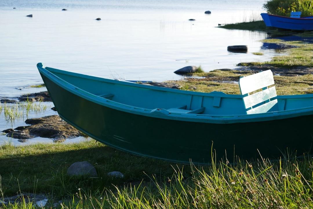blue and white boat on body of water during daytime