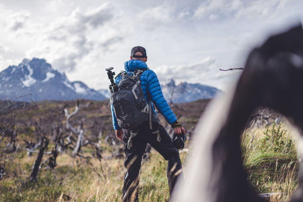 Hunting for new photo spots in the dead forest of Patagonia