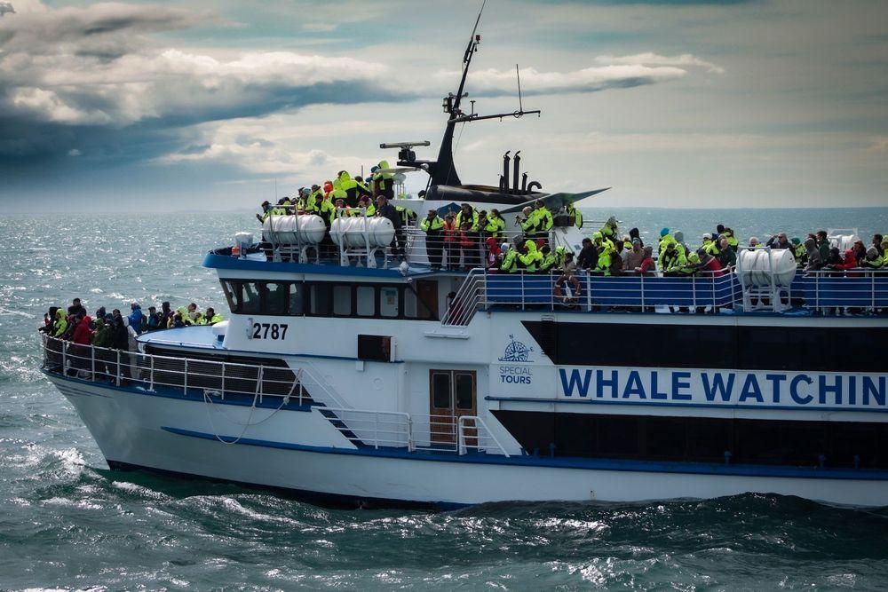A Whale Watching Boat -&nbsp;Reykjavík, Iceland