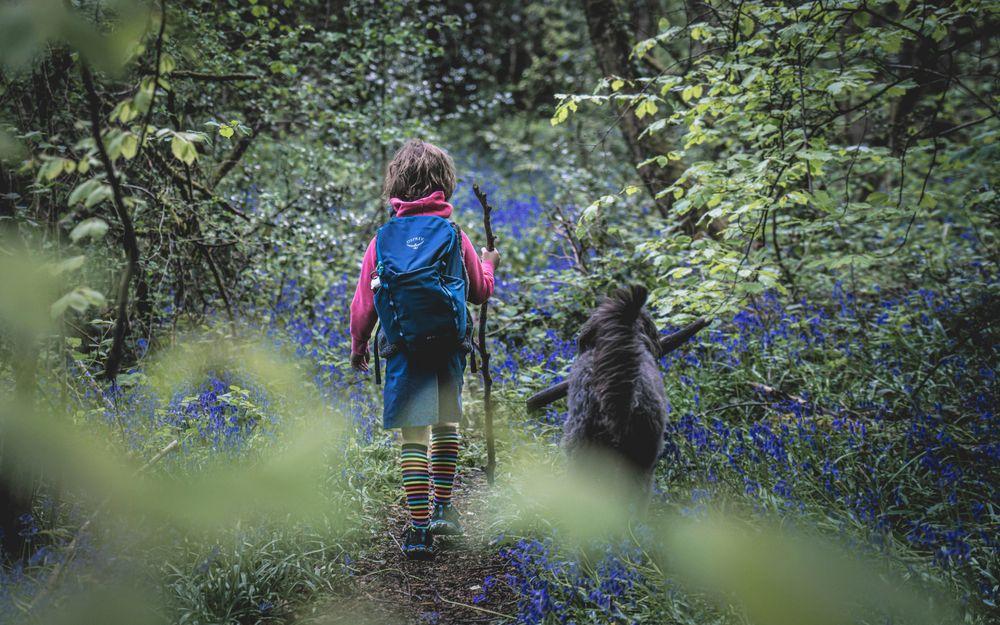 Hiking in the bush