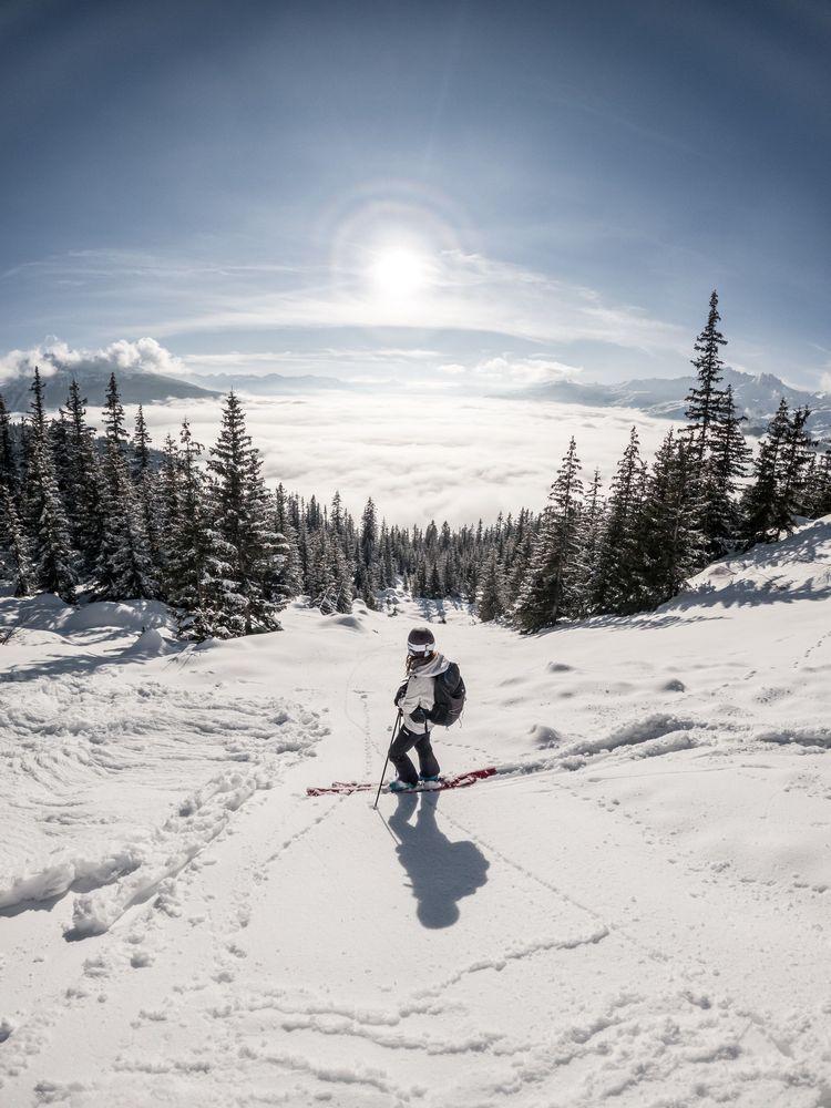 Photo by Tim Arnold on Unsplash