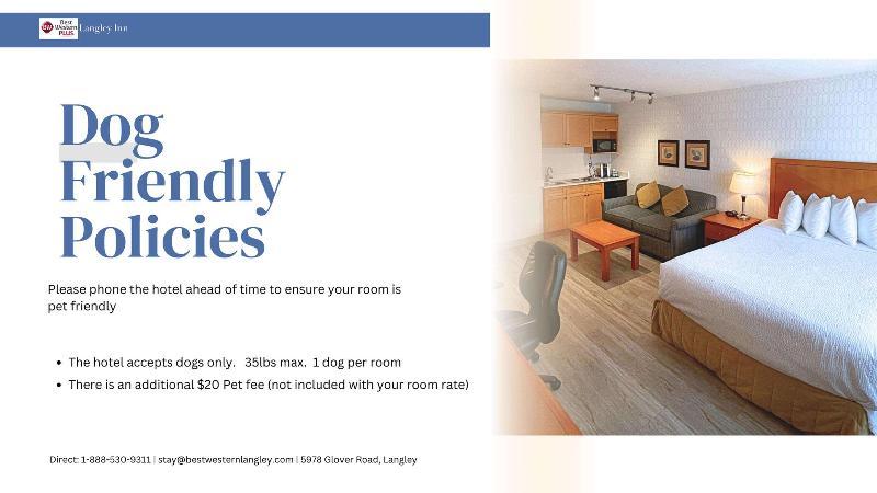 Slide 7