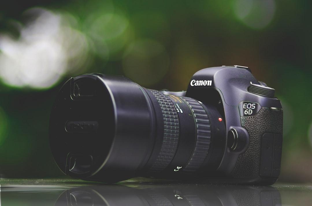 selective focus photography of purple Canon EOS 6D