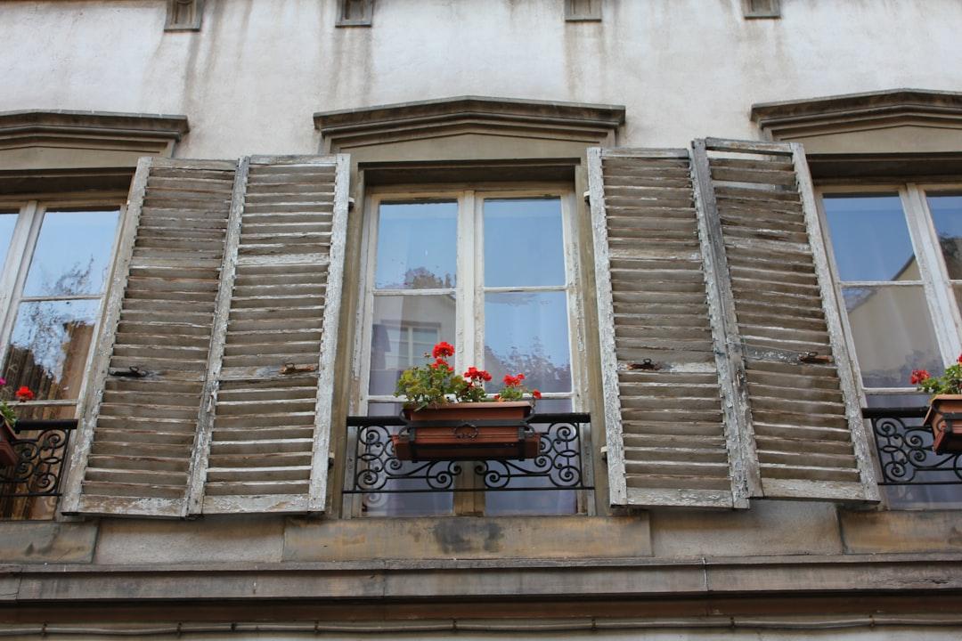 Walking around the small tight streets of Strasbourg France, I looked up and saw these lovely windows and shutters. I liked the reflection of the sky on the glass and the nice red flowers.