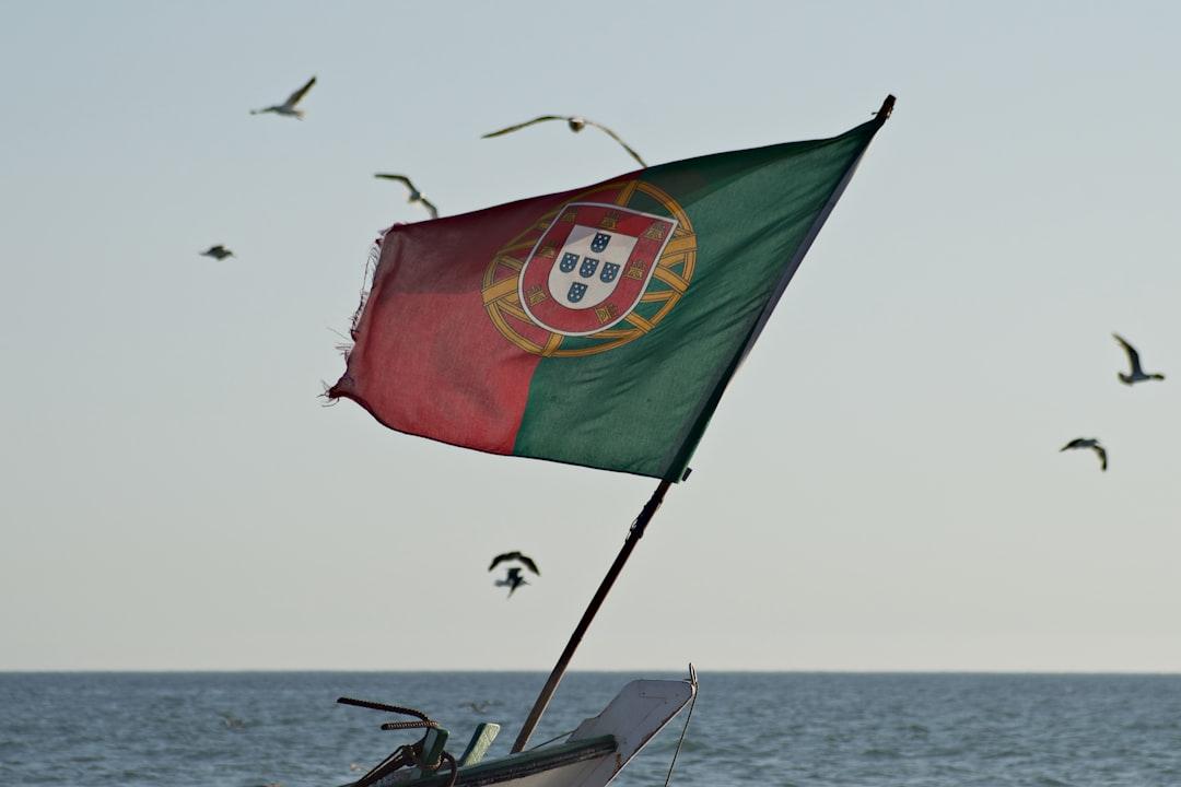 Portuguese flag hoisted on a fishing boat, with seagulls in the background