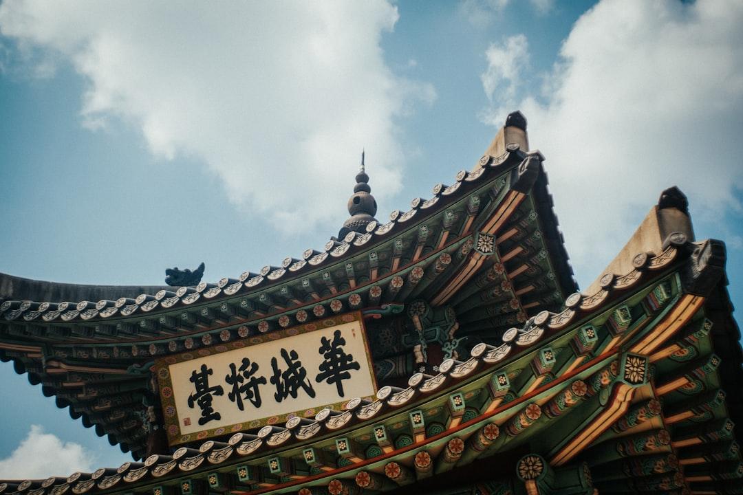 brown and black chinese temple