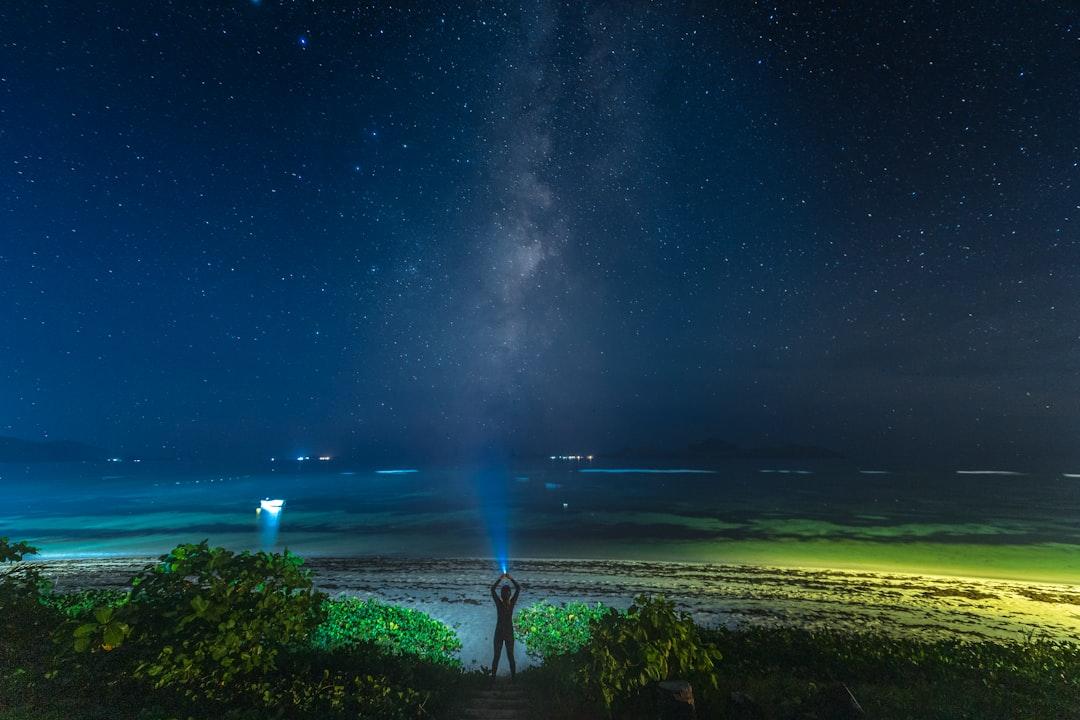 man standing on green grass field under starry night